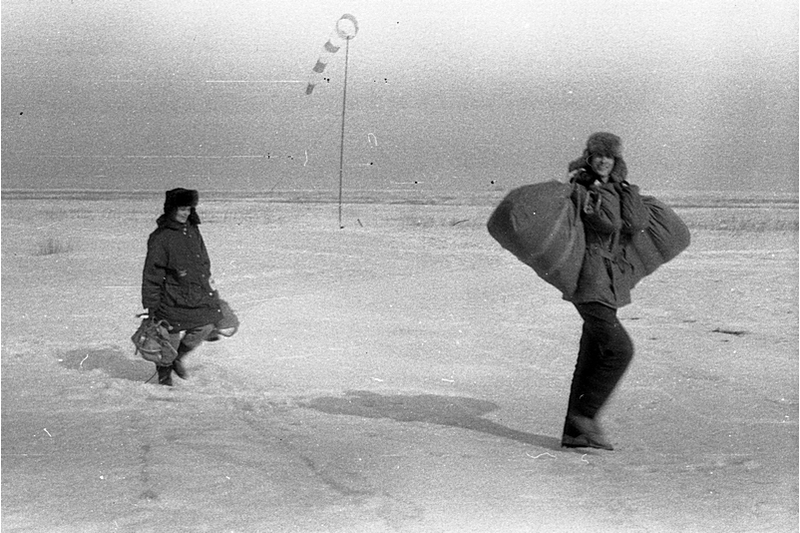 1994. Оёк.