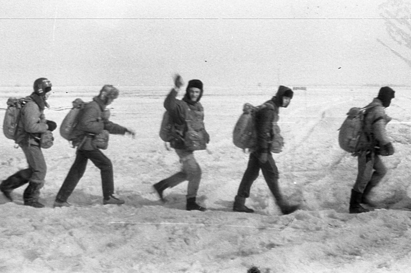 1994. Оёк.