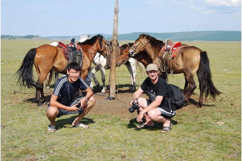 с лошадками