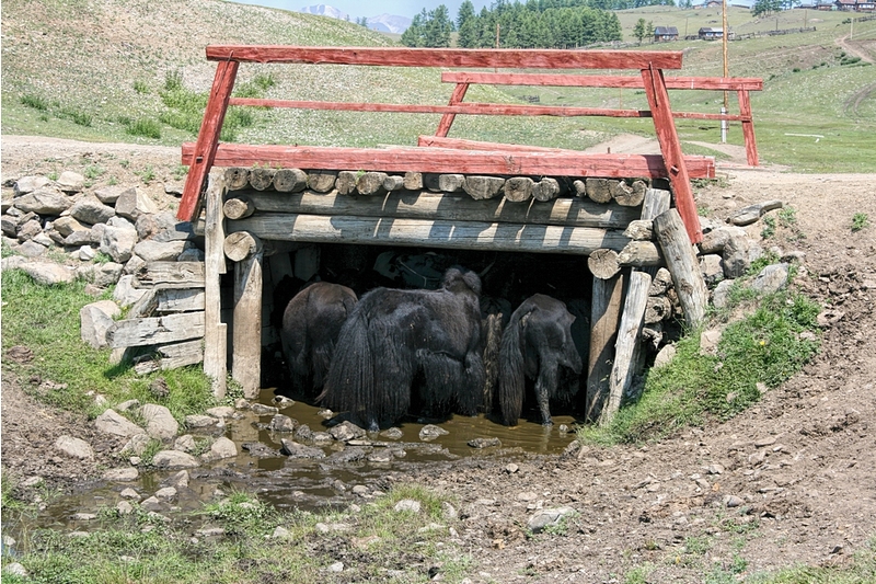 Ханх